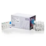 Thermo Fisher Scientific Human Neural Stem Cell Immunocytochemistry Kit