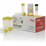 Thermo Fisher Scientific One Shot PIR1 Chemically Competent E. coli