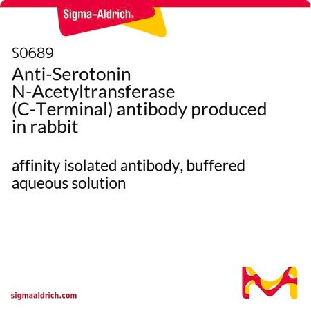 Merck Anti-Serotonin N-Acetyltransferase (C-Terminal) antibody produced in rabbit