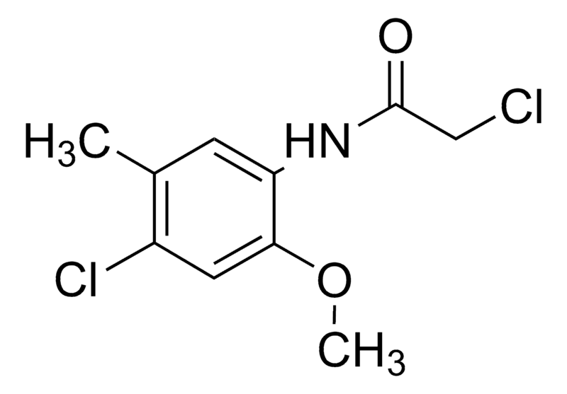Merck 2-Chloro-N-(4-chloro-2-methoxy-5-methylphenyl)acetamide
