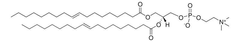Merck 18:1 (Delta9-Trans) PC