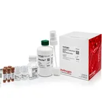 Thermo Fisher Scientific RNaseAlert QC System