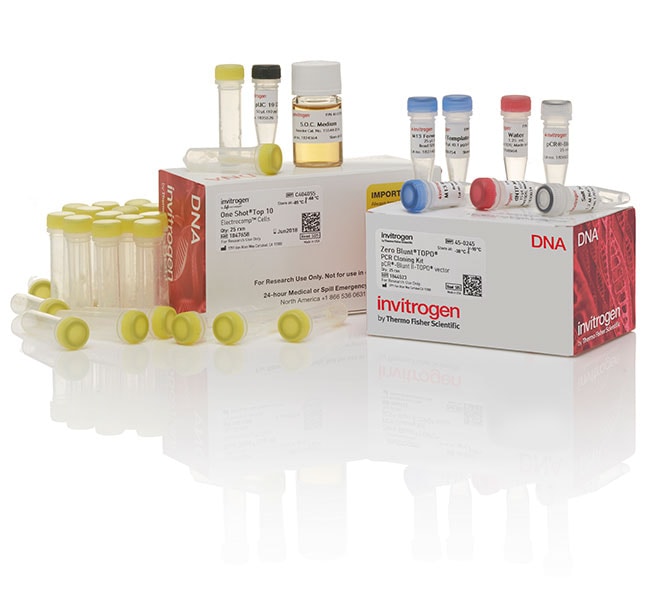 Thermo Fisher Scientific Zero Blunt TOPO PCR Cloning Kit, with One Shot TOP10 Electrocomp E. coli, 25 Reactions