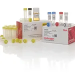 Thermo Fisher Scientific Zero Blunt TOPO PCR Cloning Kit, with One Shot TOP10 Electrocomp E. coli, 25 Reactions