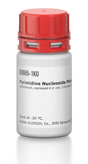 Merck PYRIMIDINE NUCLEOSIDE PHOSPHORYLASE
