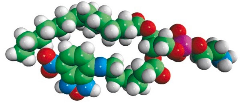 Merck 14:0-06:0 NBD PE