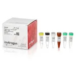 Thermo Fisher Scientific SuperScript III Platinum SYBR Green One-Step qRT-PCR Kit, 100 reactions