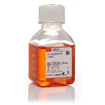 Thermo Fisher Scientific N-2 Supplement (100X), 50 mL