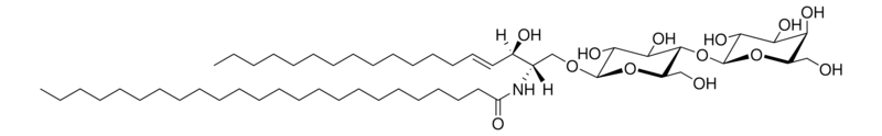Merck C24 Lactosyl(beta) Ceramide (d18:1/24:0)