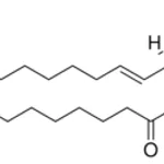 Merck C24 Lactosyl(beta) Ceramide (d18:1/24:0)