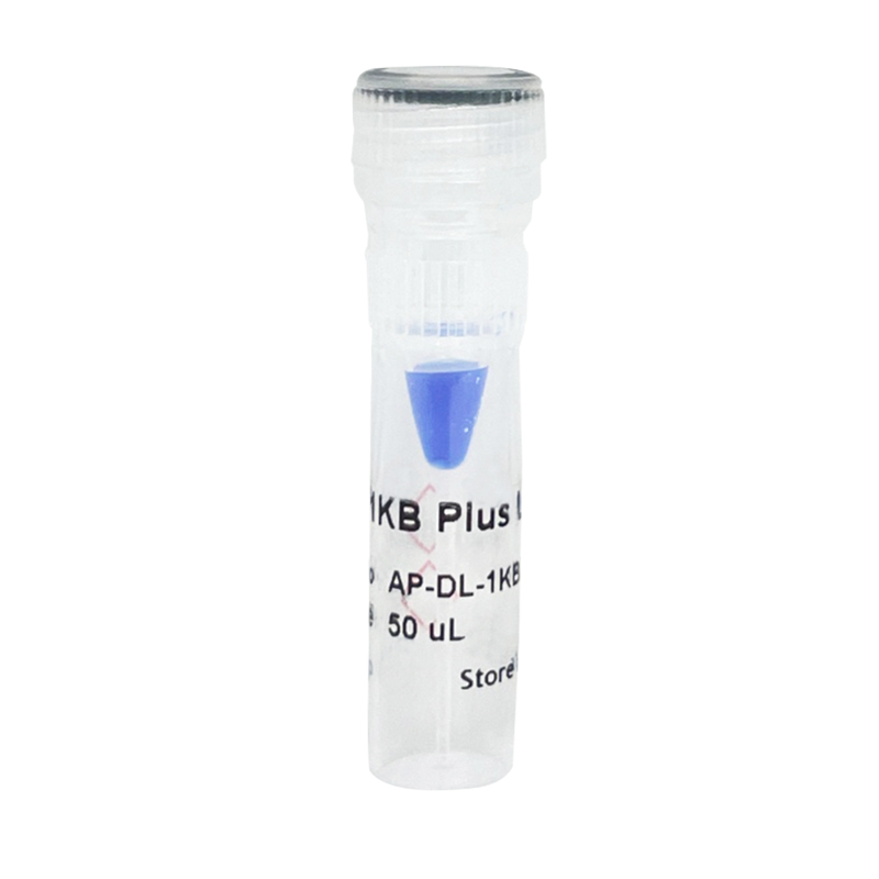 APBIO DNA 1 KB Plus Ladder