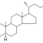 Merck 2,2-DIBROMO-5-ALPHA-CHOLESTAN- - 1 MG&