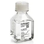 Thermo Fisher Scientific EDTA (0.1 mM), pH 8.0, RNase-free