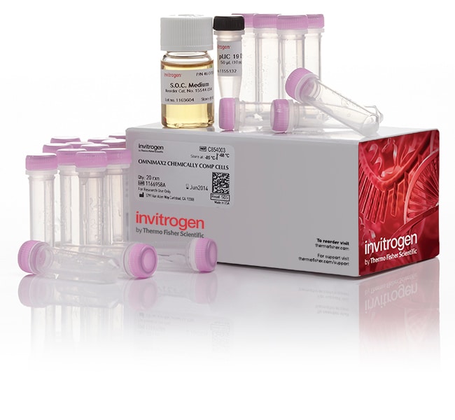 Thermo Fisher Scientific One Shot OmniMAX 2 T1<sup>R</sup> Chemically Competent E. coli