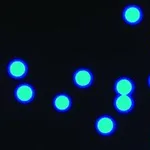 Merck MICRO PARTICLES BASED ON POLYMETHACRYLAT
