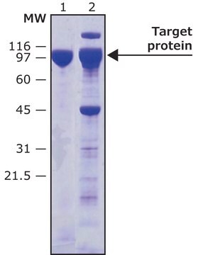 Merck HRV-3C PROTEASE BIOTIN TAGGED RECOMBINAN