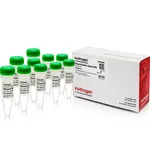 Thermo Fisher Scientific Salmon Sperm DNA, sheared (10 mg/mL)
