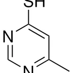 Merck 6-METHYL-4-PYRIMIDINETHIOL - 10MG