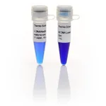 Thermo Fisher Scientific Lambda DNA/HindIII Marker, ready-to-use