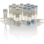 Thermo Fisher Scientific Phusion U Hot Start PCR Master Mix, 500 reactions