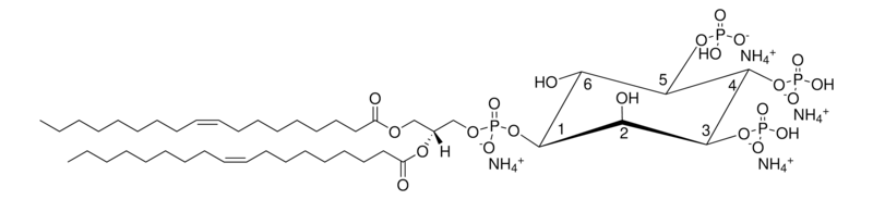 Merck 18:1 PI(3,4,5)P3