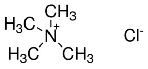 Merck TETRAMETHYLAMMONIUM CHLORIDE, BIOULTRA,