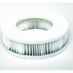 Thermo Fisher Scientific Replacement HEPA Main Filter