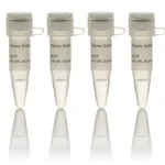 Thermo Fisher Scientific dNTP Set, 100 mM Solutions, 4 x 0.25 mL