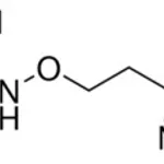 Merck L-CANAVANINE FREE BASE FROM JACK BEANS &