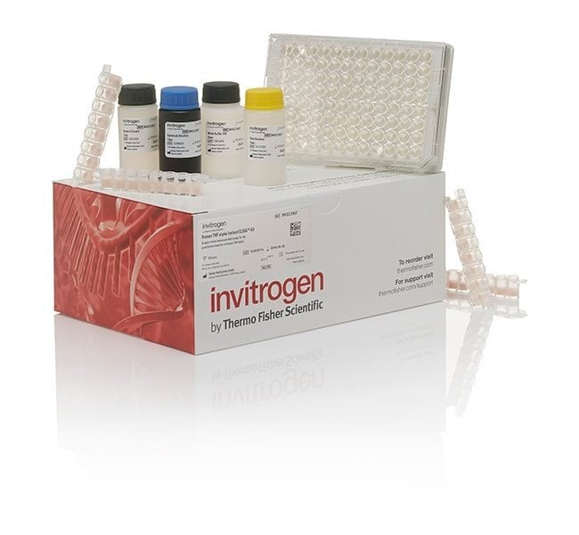 Thermo Fisher Scientific MASP1 Polyclonal Antibody
