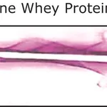Merck Anti- Bovine Whey Proteins, antibody produced in rabbit