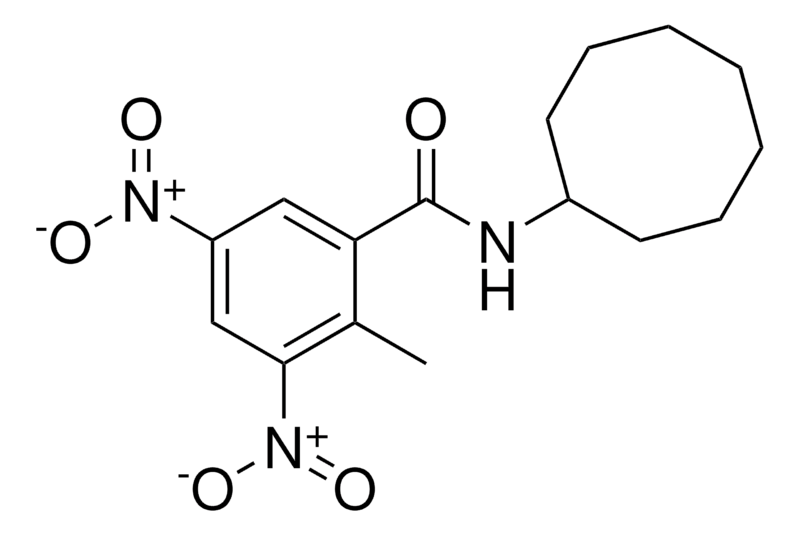 Merck N-CYCLOOCTYL-2-METHYL-3,5-DINI - 25 MG&
