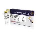 Thermo Fisher Scientific Eco88I (AvaI) (10 U/μL)