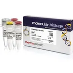 Thermo Fisher Scientific AjuI (5 U/μL)