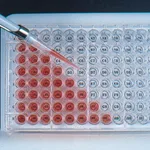 Merck Well orienter