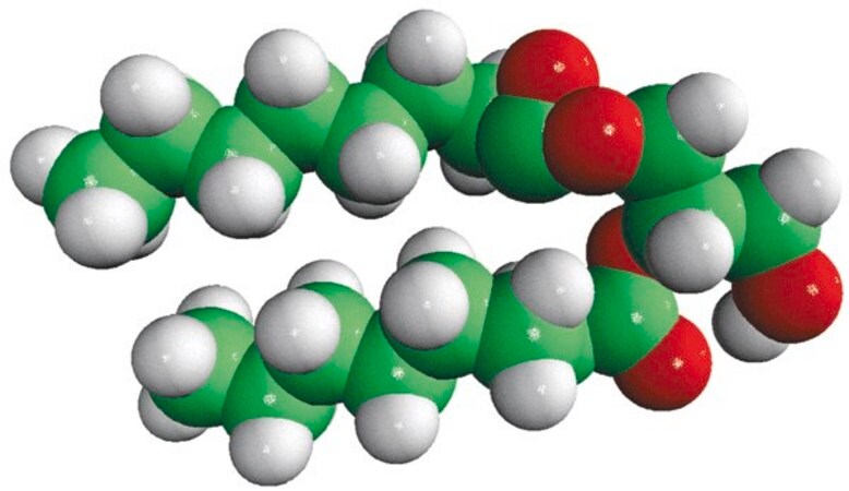 Merck 08:0 DG