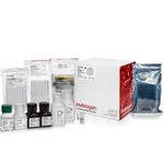 Thermo Fisher Scientific RNAqueous-96 Automated Kit