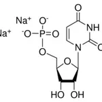 Merck URIDINE 5``-MONOPHOSPHATE DISODIUM SALT,