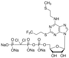 Merck CANGRELOR TETRASODIUM SALT