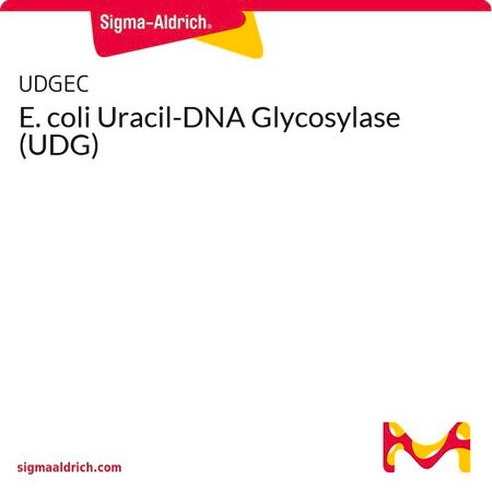 Merck E. coli Uracil-DNA Glycosylase (UDG)