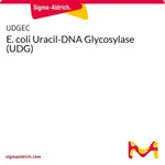 Merck E. coli Uracil-DNA Glycosylase (UDG)
