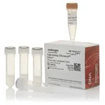 Thermo Fisher Scientific Subcloning Efficiency DH5α Competent Cells