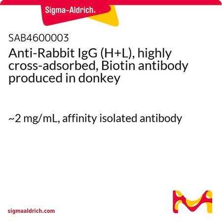 Merck Anti-Rabbit IgG (H+L), highly cross-adsorbed, Biotin antibody produced in donkey