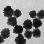 Merck PLATINUM NANOSPHERES CITRATE FUNCTIONAL&