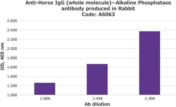 Merck Anti-Horse IgG (whole molecule)-Alkaline Phosphatase antibody produced in rabbit