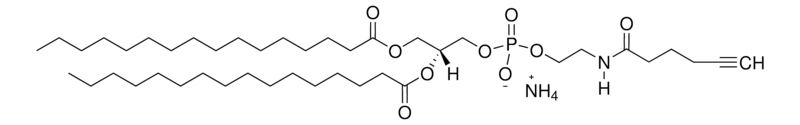 Merck 16:0 hexynoyl PE