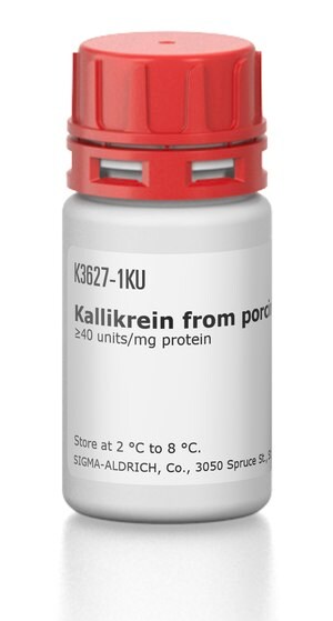 Merck KALLIKREIN FROM PORCINE PANCREAS