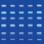 Merck TLC SILICA GEL 60 RP-2 F254 (SILANIZED)