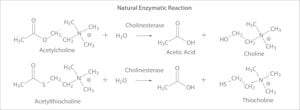 Merck BUTYRYLCHOLINESTERASE, HUMAN