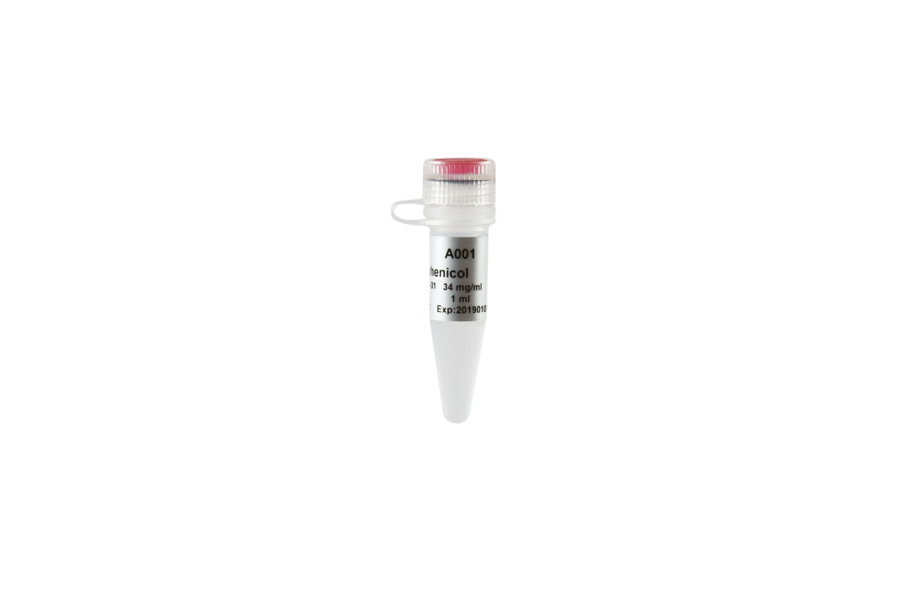 Chloramphenicol